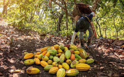 Comprometidos con la Sostenibilidad